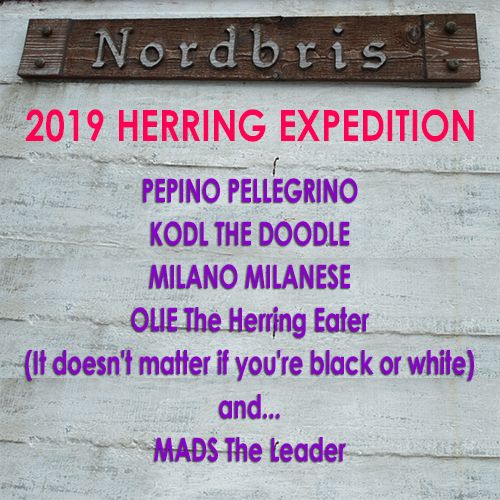 2019 Norsko